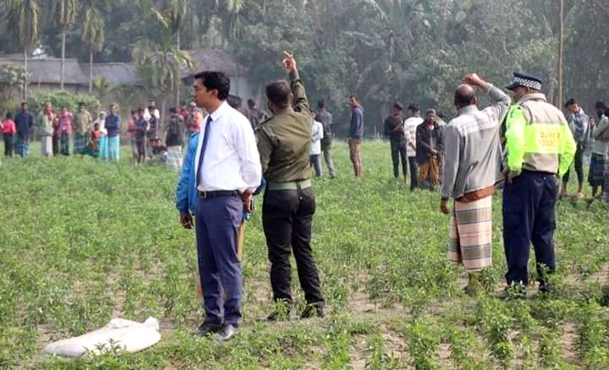 বাংলাবান্ধায় দুই বন্যহাতি, আক্রমণে যুবক নিহত