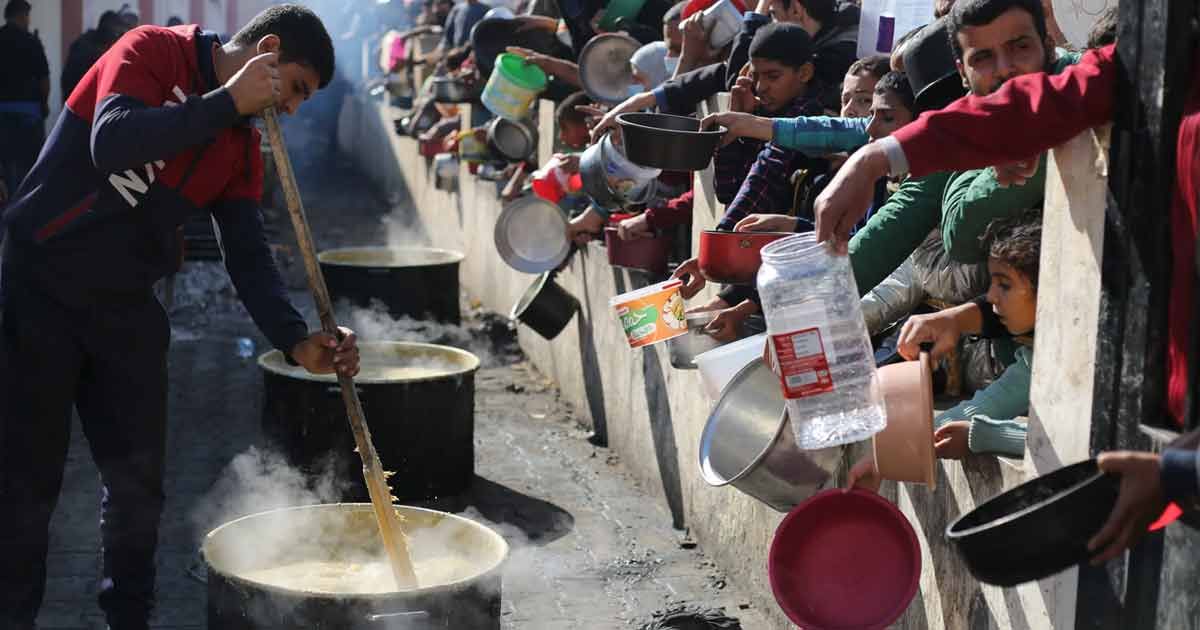 উত্তর গাজার হাসপাতালে না খেয়ে মরছে শিশুরা: ডব্লিওএইচও 