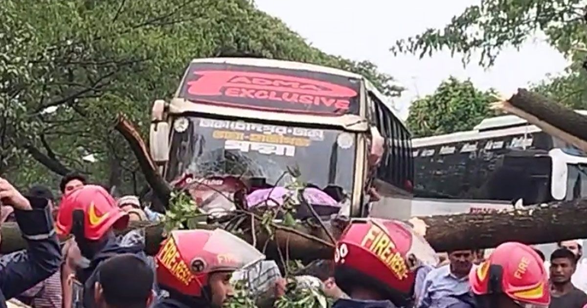 ঝড়ে গাছ উপড়ে আধা ঘণ্টা যান চলাচল বন্ধ গজারিয়ায়