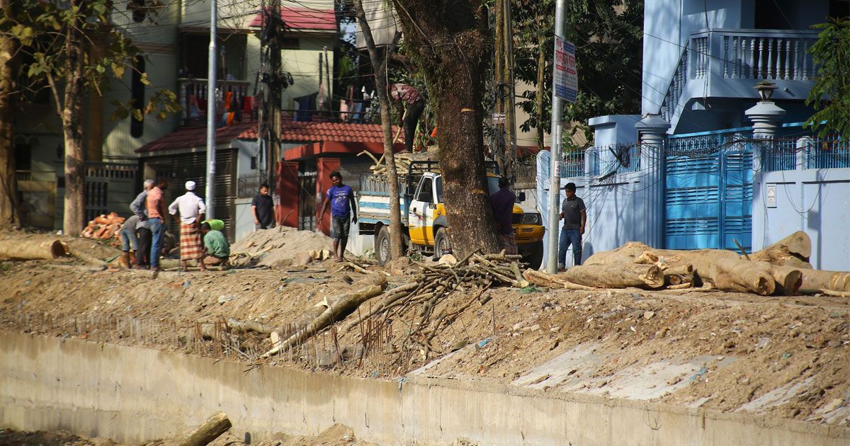 সৌন্দর্যবর্ধনের নামে বৃক্ষনিধন