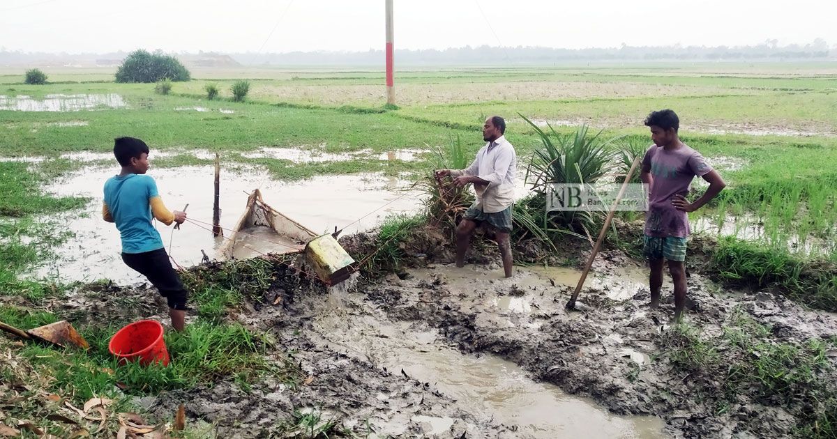 খাল-বিলের পানি সেচে চলছে মাছ ধরার ধুম