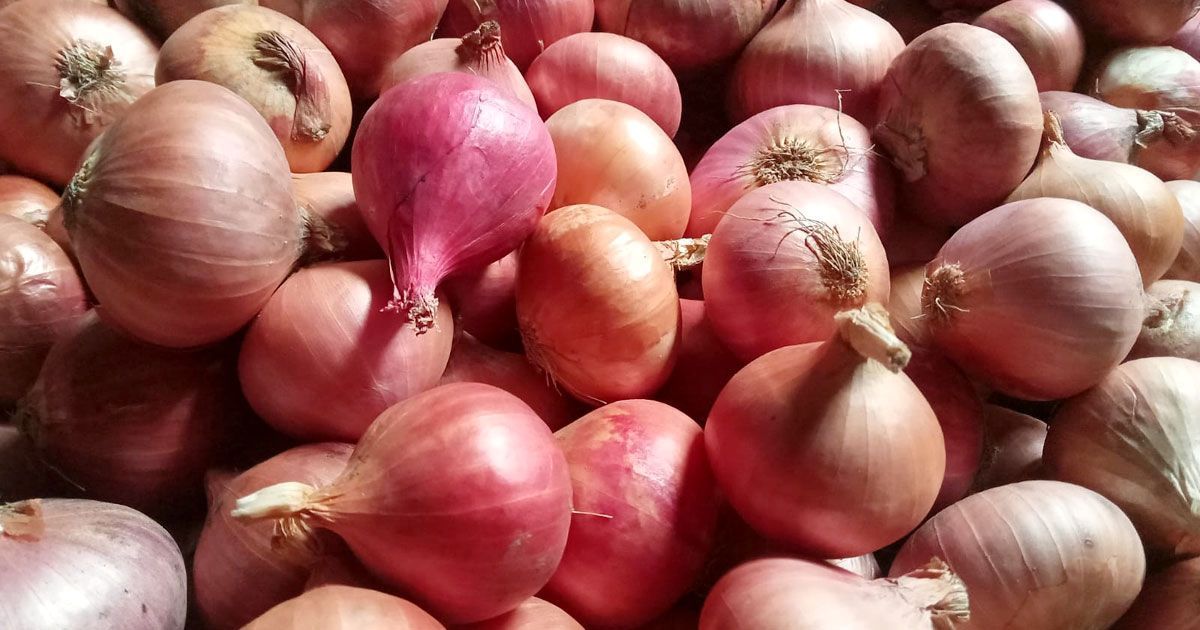 India-suspends-onion-export-indefinitely