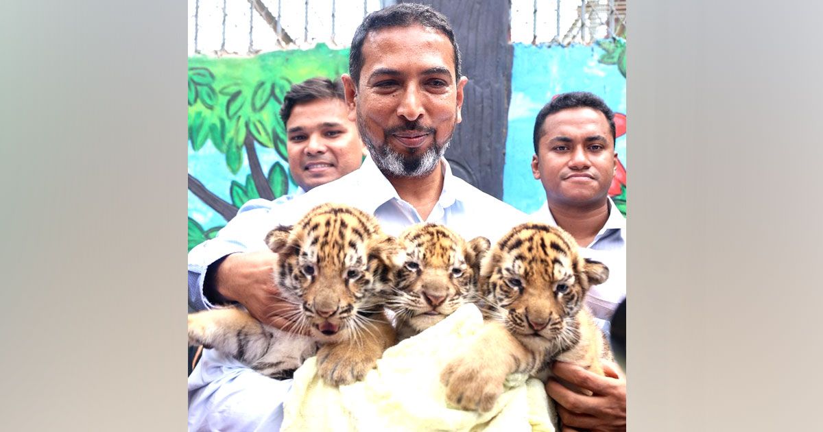 বাইডেন ও জয়ার তিন কন্যা- প্রকৃতি, স্রোতস্বিনী ও রূপসী