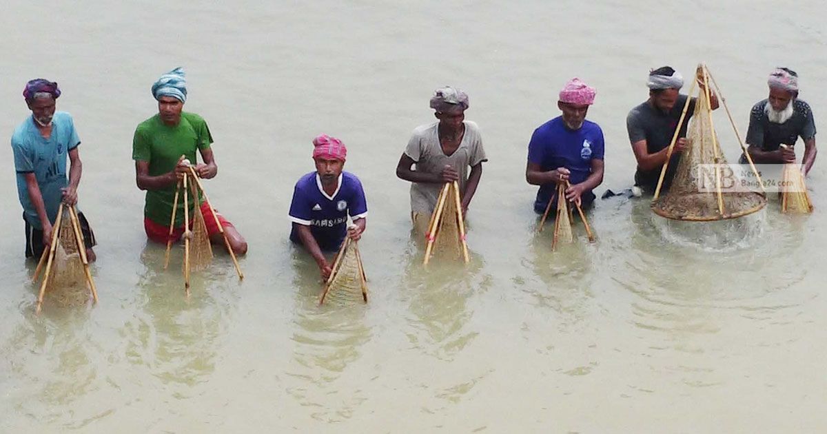 ছোট যমুনা নদীতে পলো দিয়ে মাছ ধরা উৎসব