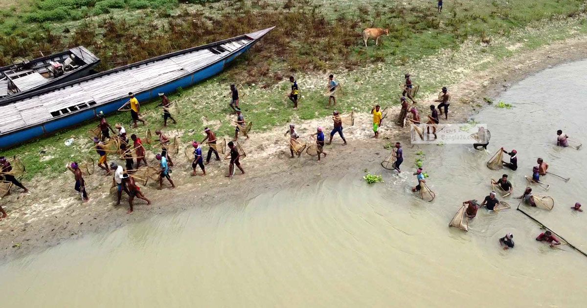 ছোট যমুনা নদীতে পলো দিয়ে মাছ ধরা উৎসব