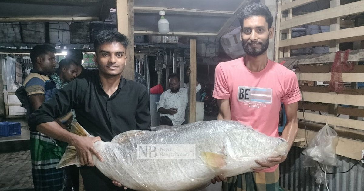 সাগর-মোহনায়-ধরা-পড়ল-২৬-কেজির-কোরাল