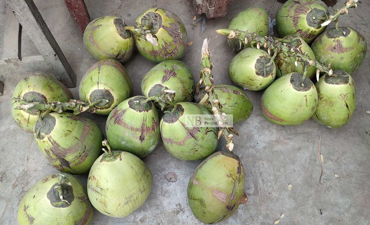 গরমে ডাবের দামে পিপাসা আরও বাড়ছে
