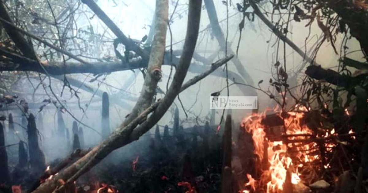 সুন্দরবনে-আগুন-নিয়ন্ত্রণে-বনরক্ষীরা-যাচ্ছে-ফায়ার-সার্ভিস