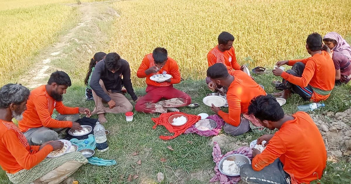 হাওরে ধান কাটা হলো সারা, কৃষক পরিবারে স্বস্তির হাসি