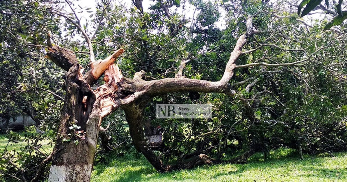 সন্ধ্যার-মধ্যে-সব-বিভাগে-ঝড়-বৃষ্টির-আভাস