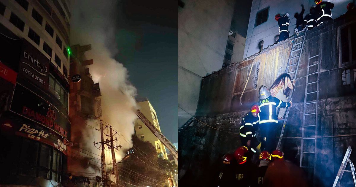 ‘কাচ্চি ভাই’ রেস্টুরেন্টের মালিক সোহেল রিমান্ডে