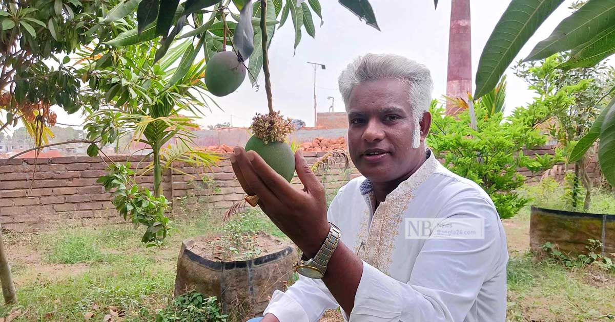 আমের বোঁটায় মুকুলের বাহার