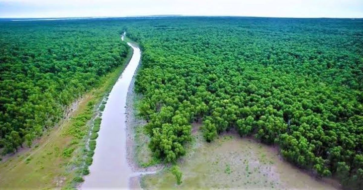 সাতক্ষীরায় ফের ঢাল হলো সুন্দরবন