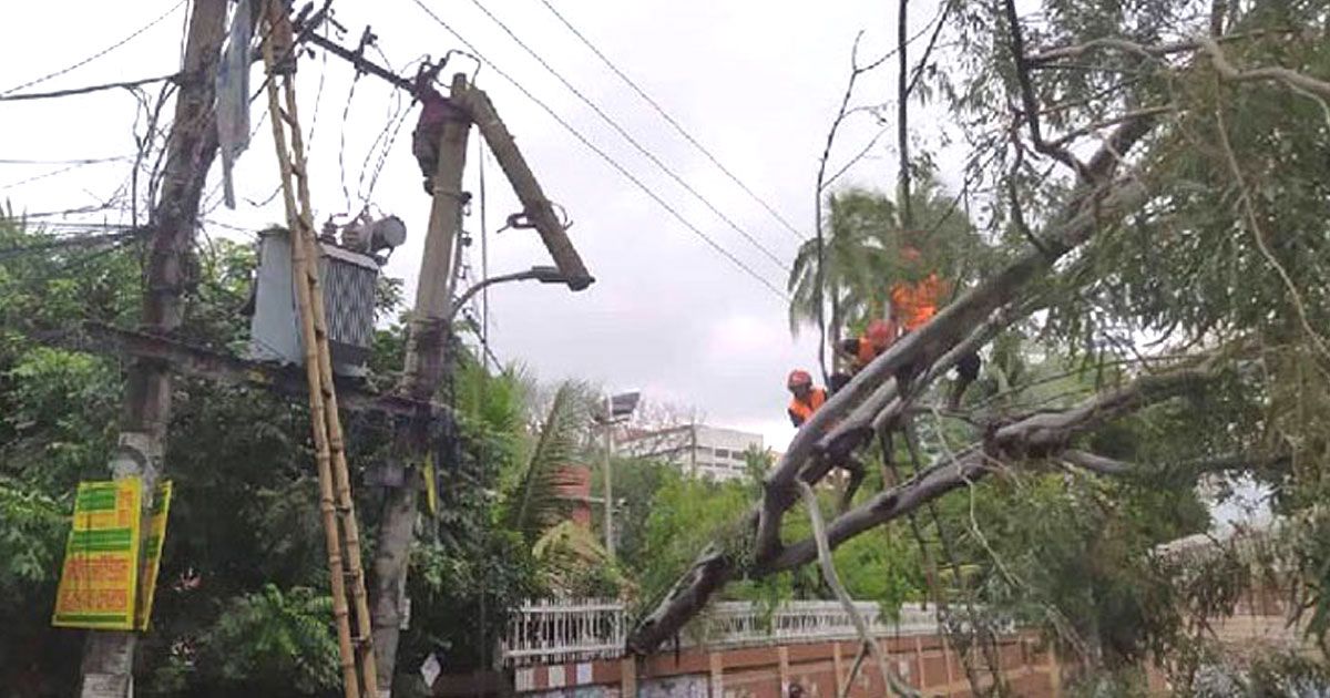 রিমালের-তাণ্ডব-এক-কোটি-৭২-লাখ-গ্রাহক-এখনও-বিদ্যুৎহীন
