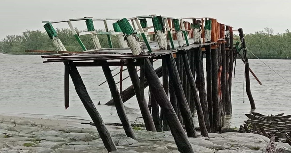 রিমালের তাণ্ডব: সুন্দরবনে হরিণসহ অসংখ্য প্রাণীর মরদেহ