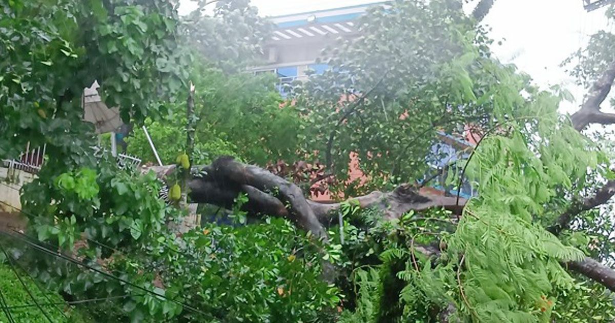 রিমালের-প্রভাবে-বিদ্যুৎহীন-সিলেট-মোবাইল-নেটওয়ার্ক-ব্যাহত