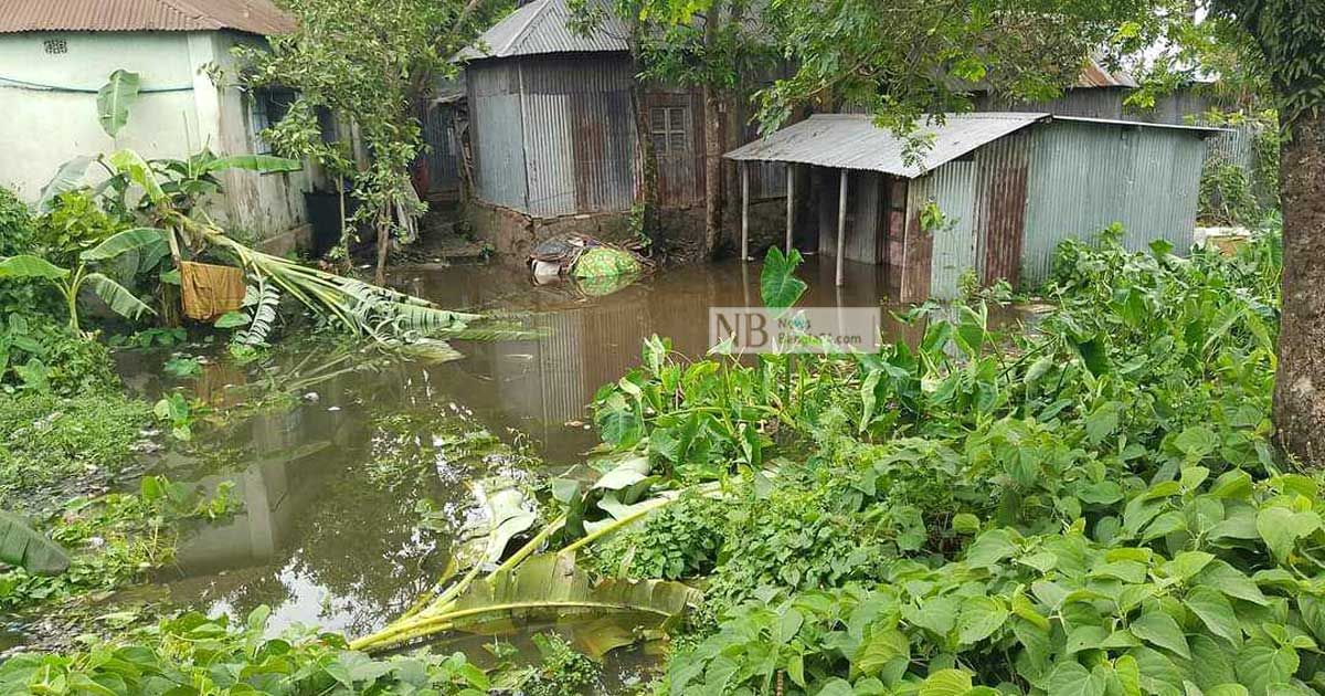 স্থায়ী পানি নিষ্কাশন ব্যবস্থা চান নেত্রকোণা শহরের বাহিরচাপড়ার বাসিন্দারা