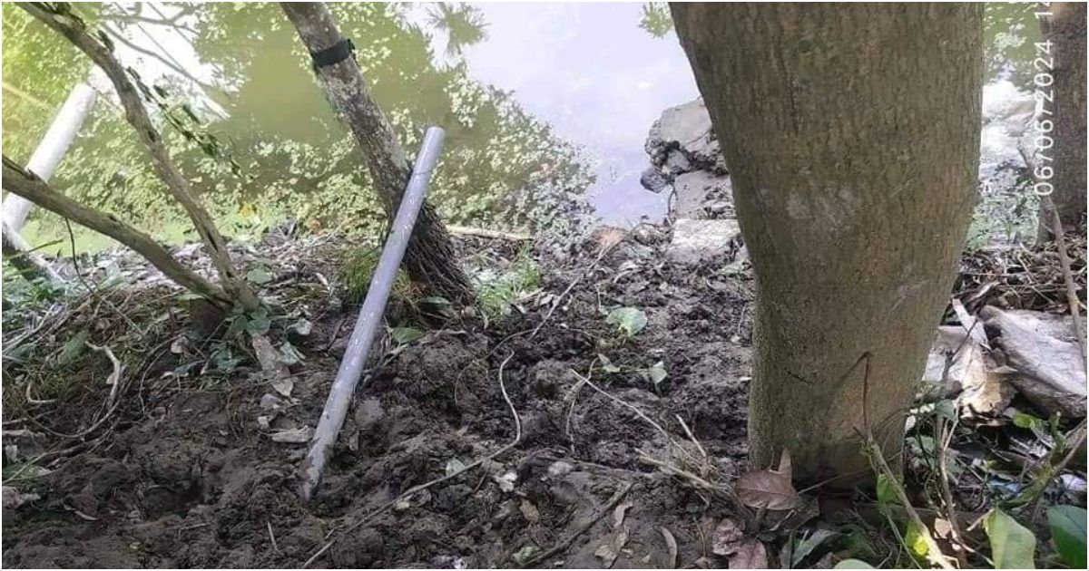 বিদ্যুৎস্পৃষ্টে-রাশিয়া-থেকে-বাড়িতে-আসা-ছেলের-সঙ্গে-প্রাণ-গেল-মায়েরও