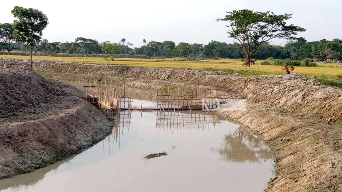 মাছ ধরতে নদীতে বাঁধ