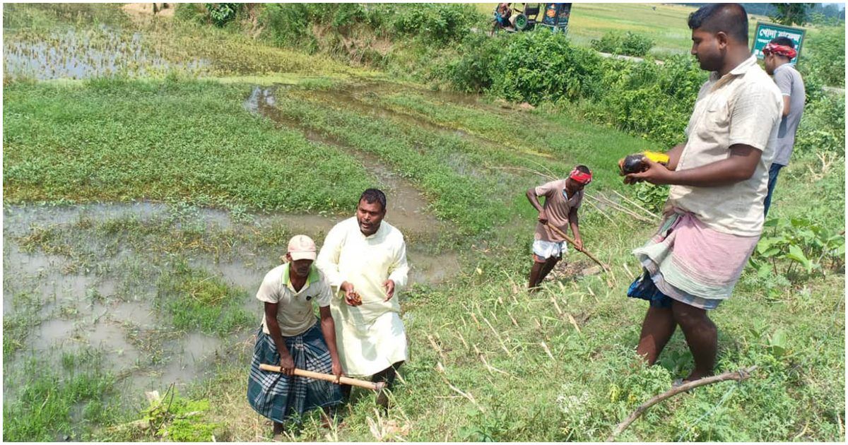 ৮০ কিলোমিটার সড়কে ৩ লাখ তালগাছ রোপণের দাবি বেলালের