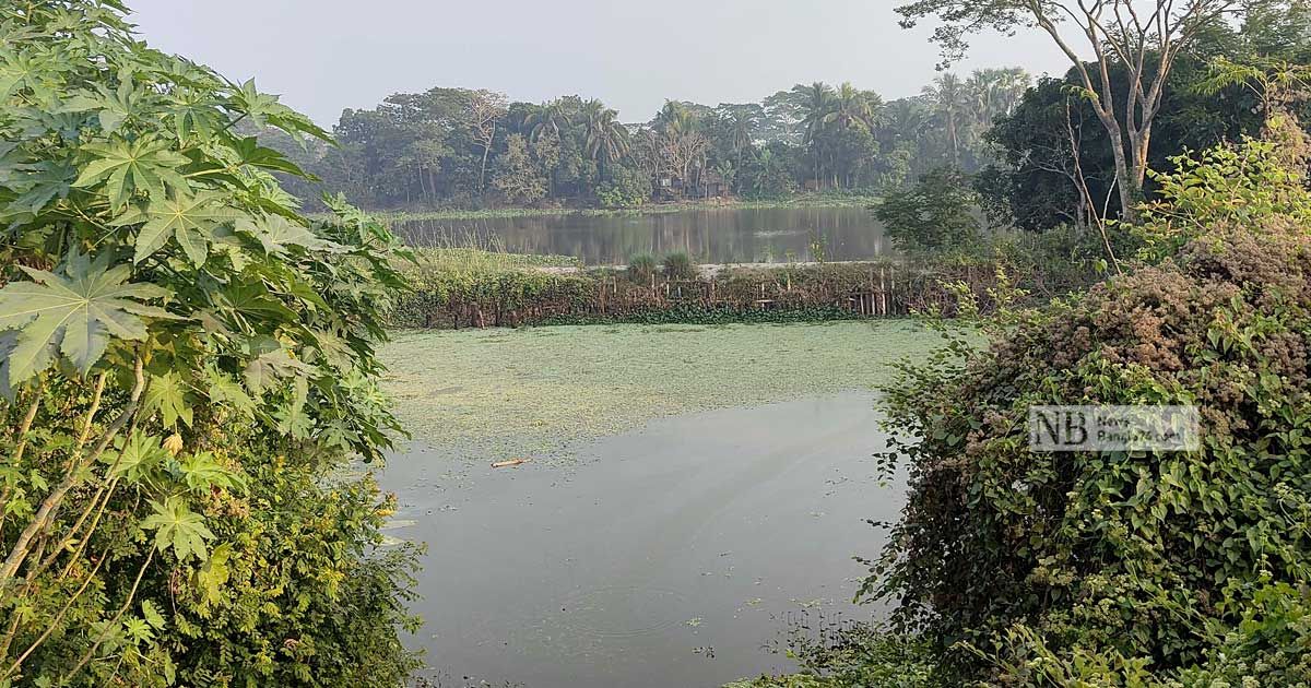 কোটালীপাড়ায় শতাধিক খাল দখল করে মাছ চাষ