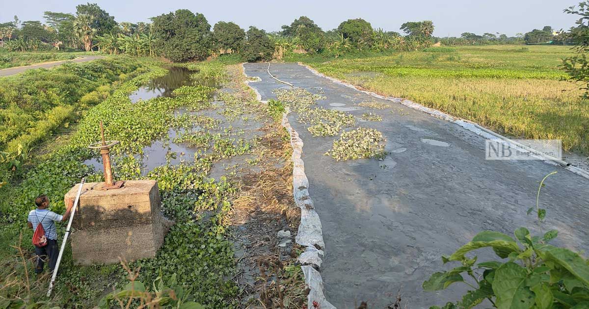 কোটালীপাড়ায় শতাধিক খাল দখল করে মাছ চাষ