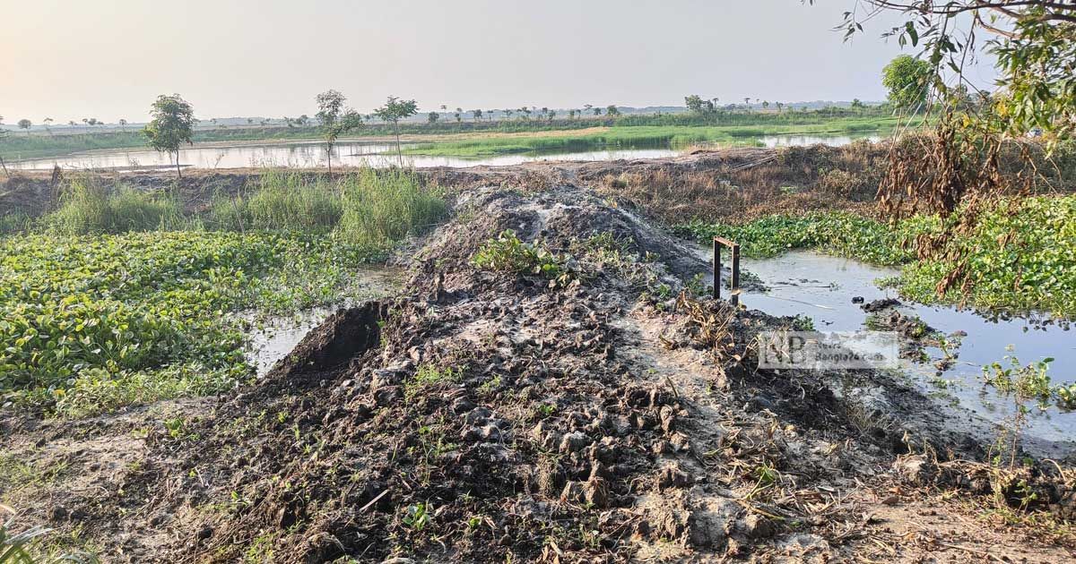 কোটালীপাড়ায় শতাধিক খাল দখল করে মাছ চাষ