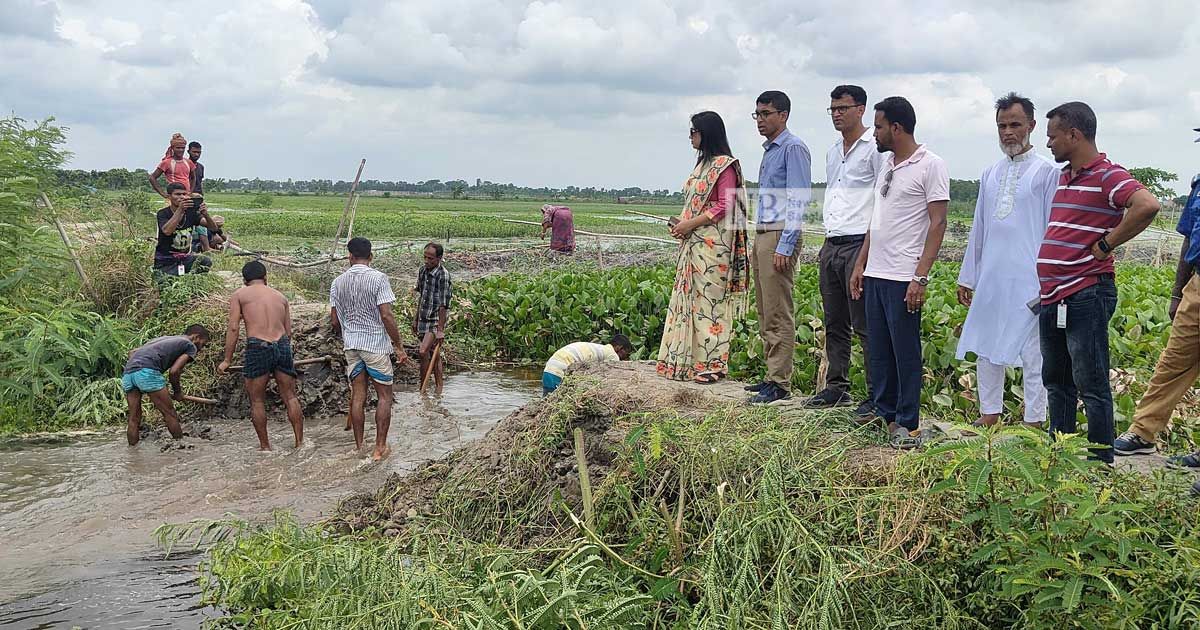 নিউজবাংলার খবরে দখলমুক্ত হচ্ছে কোটালীপাড়ার খালগুলো