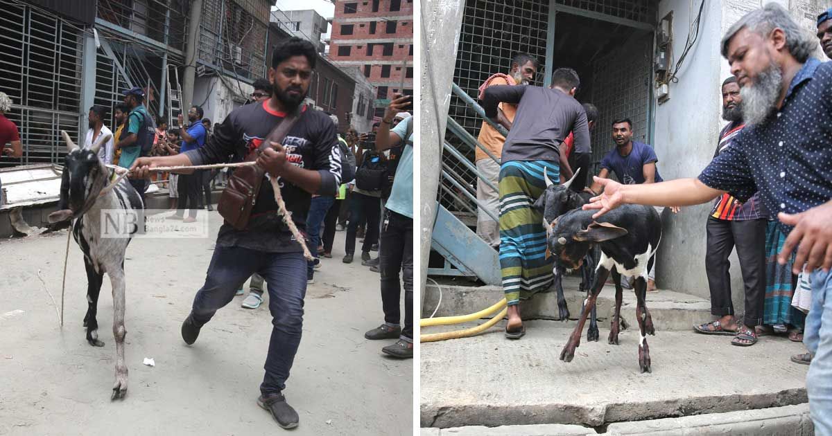 ছাগল-কাণ্ডে আলোচিত সাদিক এগ্রোতে উচ্ছেদ অভিযান