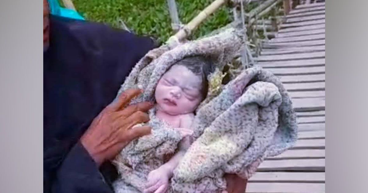 নড়বড়ে সাঁকোয় জন্ম হলো স্বপ্নার