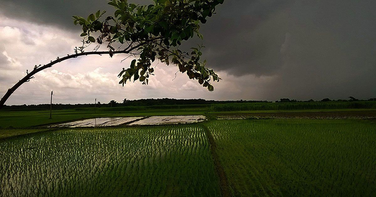 সর্বোচ্চ ৬০ কিমি বেগে ঝোড়ো হাওয়া বইতে পারে ৭ জেলায়