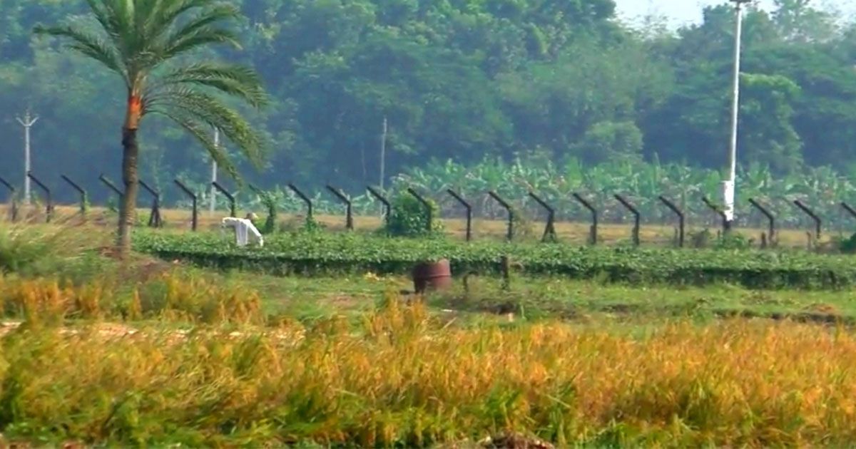 গুলিতে-নিহত-বাংলাদেশির-মরদেহ-ফেরত-দিল-বিএসএফ