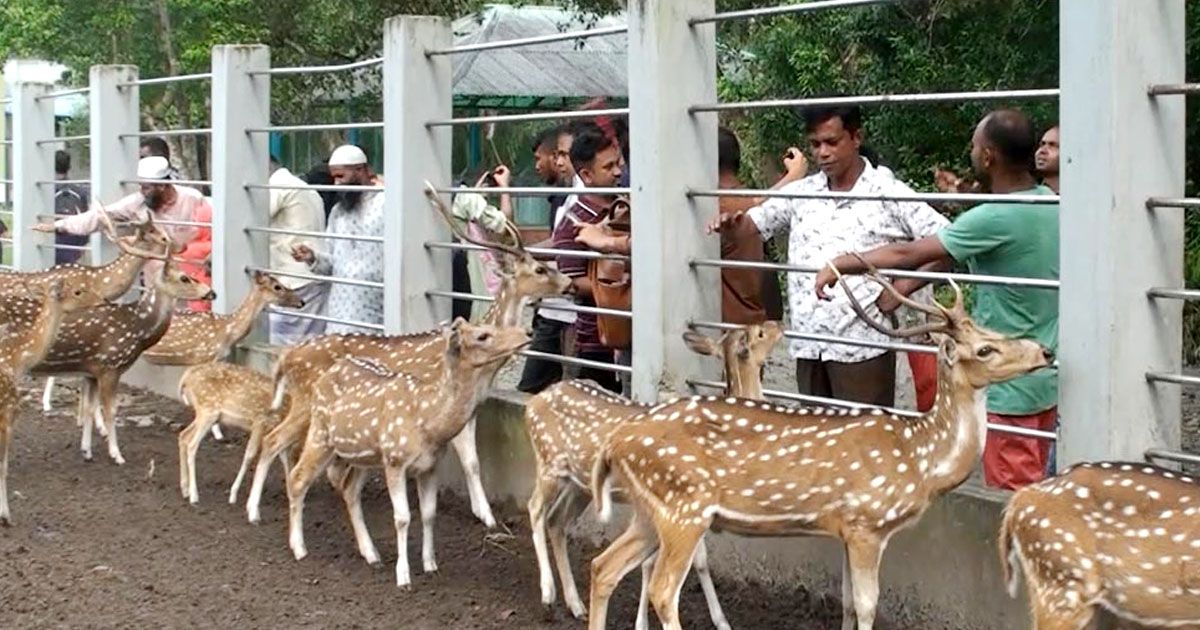 সুন্দরবনের দুয়ার খুলছে কাল