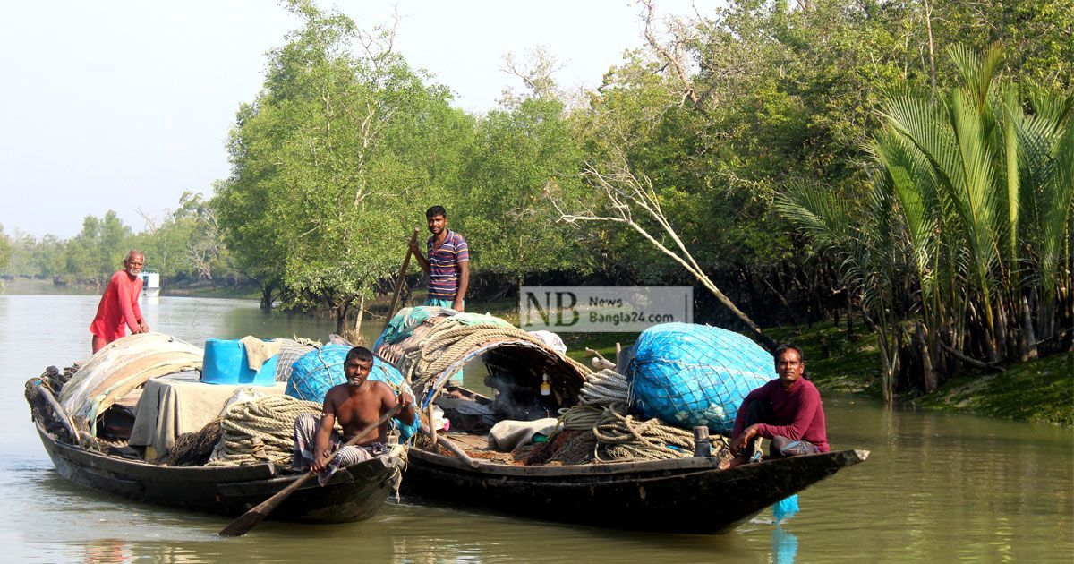 সুন্দরবনের দুয়ার খুলছে কাল