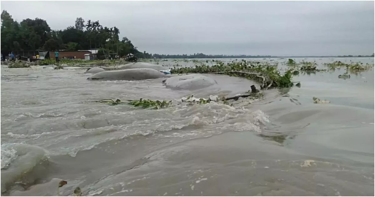 বাড়ছে তিন বিভাগের নদ-নদীর পানি