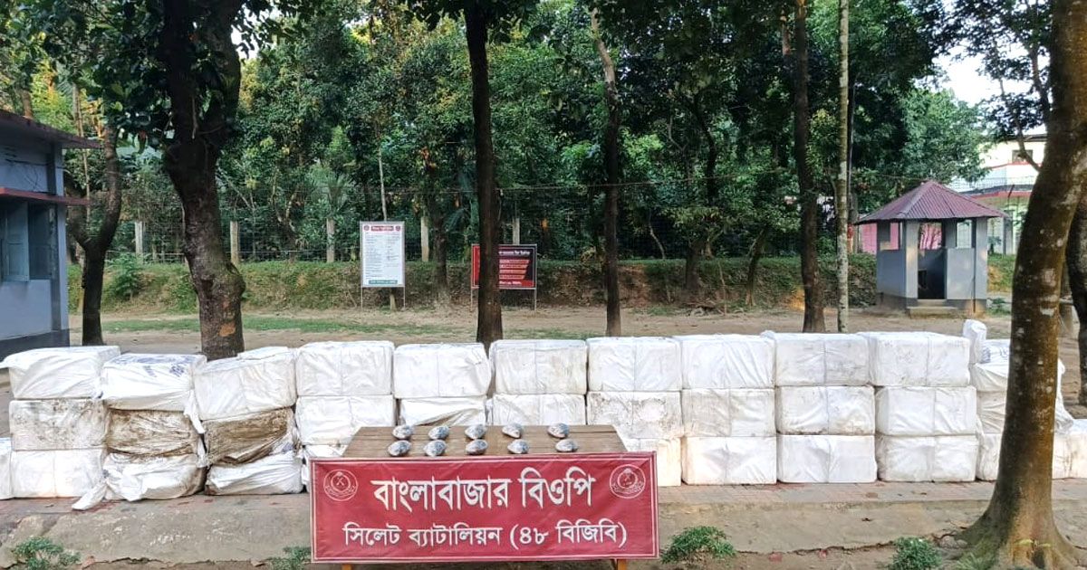 সুনামগঞ্জ সীমান্তে আবারও ইলিশের চালান আটক