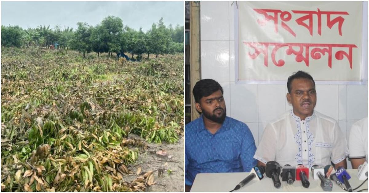 বাগানের-৮০০-আমগাছ-কেটে-ফেলার-অভিযোগ-ব্যবসায়ীর