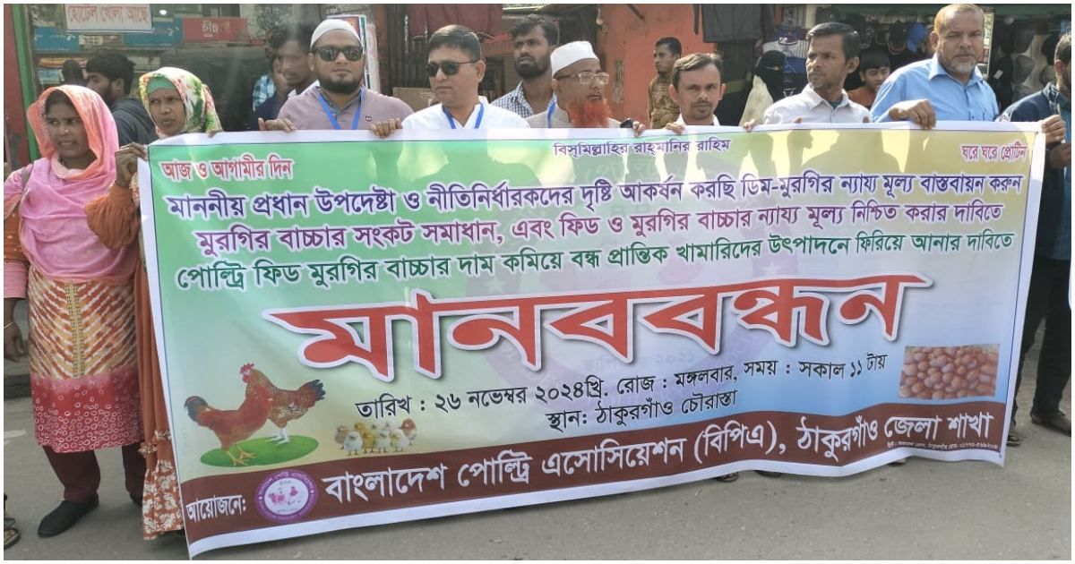 ঠাকুরগাঁওয়ে মুরগির বাচ্চা সংকট নিরসন চান প্রান্তিক খামারিরা