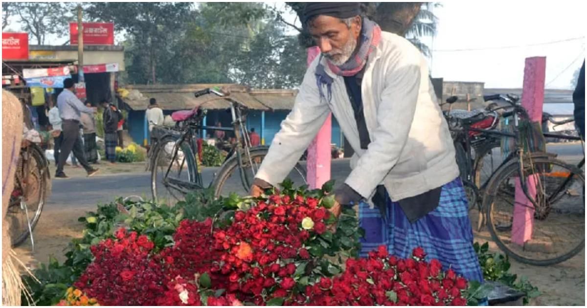 ৩-দিবসে-গদখালীর-১০০-কোটি-টাকার-ফুল-বিক্রির-আশা