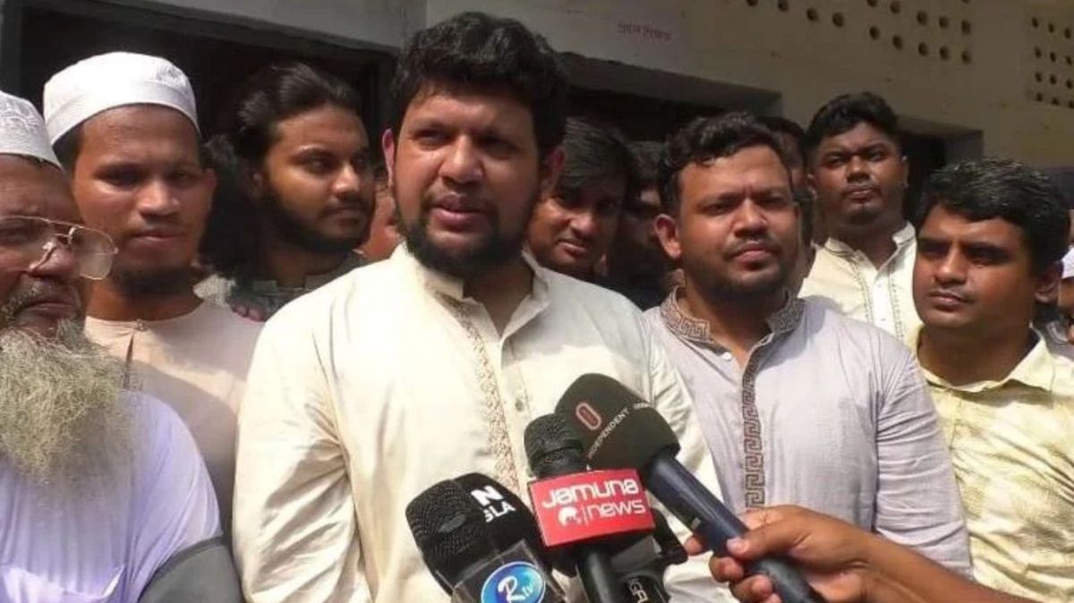 আওয়ামী লীগ নিষিদ্ধ করার বিষয়ে সরকার একা সিদ্ধান্ত নেবে না : মাহফুজ আলম