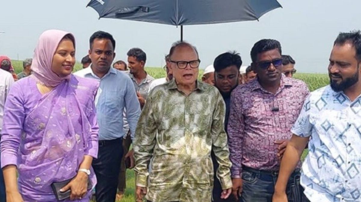 খাদ্য নিরাপত্তা নিয়ে কোনো ধরনের শঙ্কা নেই: খাদ্য উপদেষ্টা 