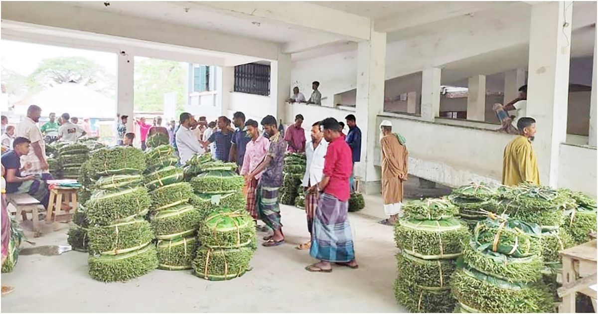 বিদ্যালয়-নয়-যেন-পানের-বাজার