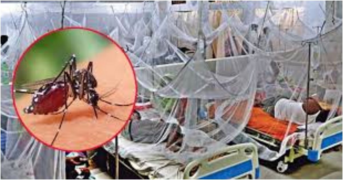 ডেঙ্গু-আক্রান্ত-হয়ে-আরও-৫৩-জন-হাসপাতালে