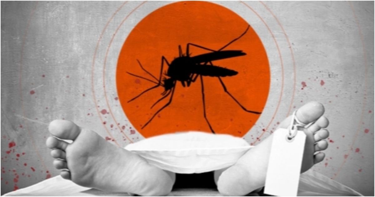 ২৪ ঘণ্টায় ডেঙ্গুতে মৃত্যু ১, হাসপাতালে ৭৯