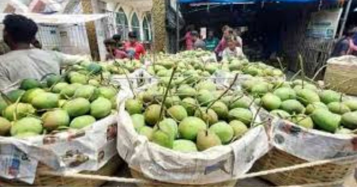 In-the-five-countries-officially-start-exporting-mango