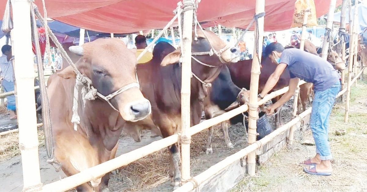 বরিশাল-বিভাগে-বসছে-৩২৮টি-কোরবানির-পশুর-হাট