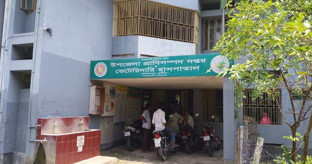Nine-Six-for-the-advanced-varieties-of-grass-farming-projects-at-Daulatpur-Livestock-Department