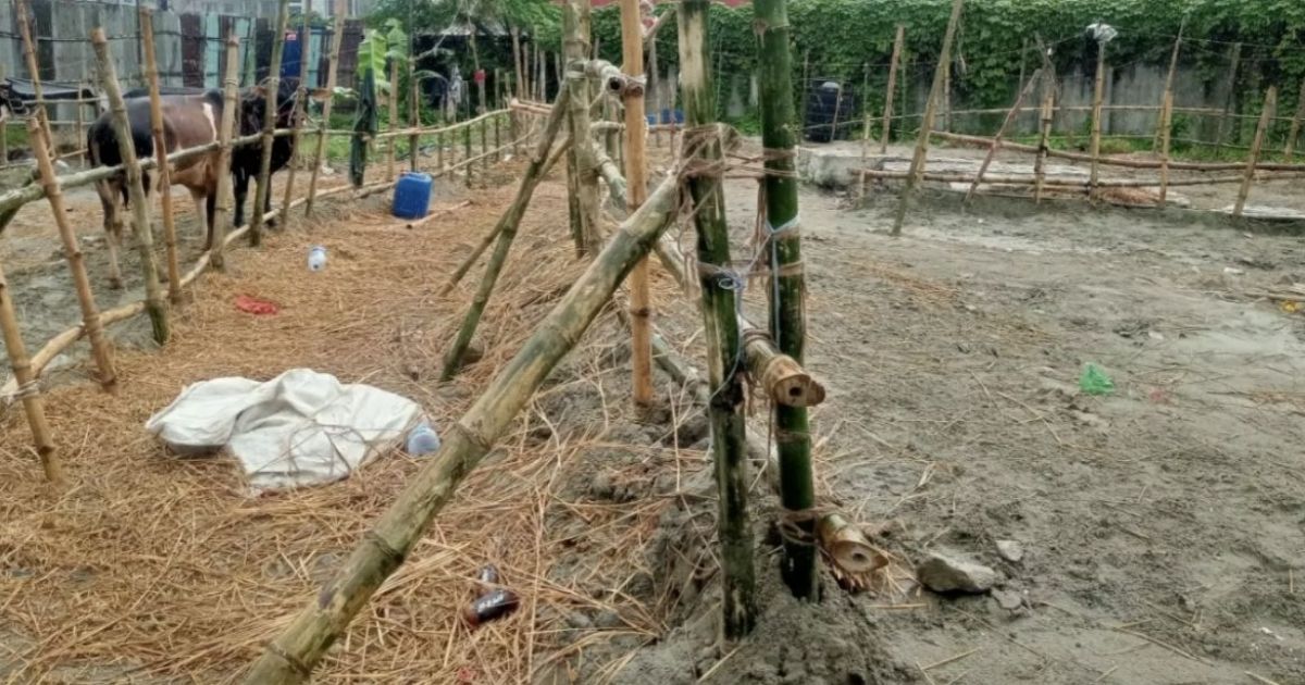 Animal-crisis-buyers-in-the-Gabtali-Hat-are-gathering-crowds-in-the-new-market