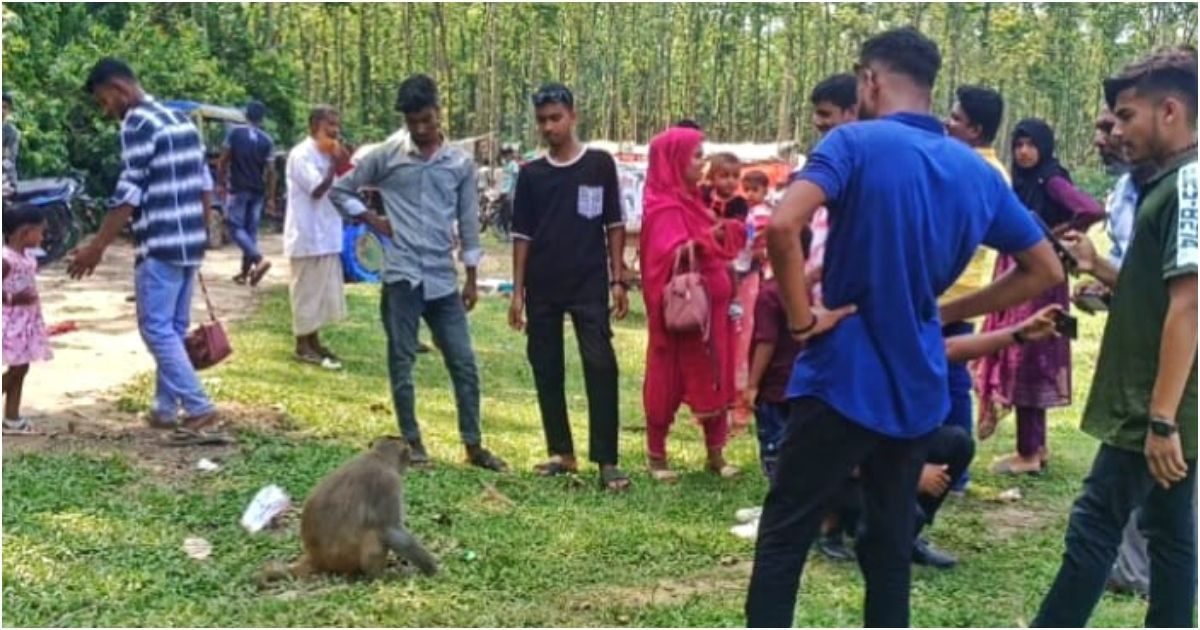In-the-summer-the-ducks-have-increased-in-the-Santoshpur-forest