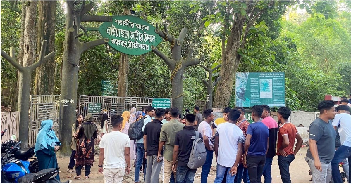 ঈদের ছুটিতে দর্শনার্থীদের পদচারণায় মুখরিত চায়ের রাজ্য